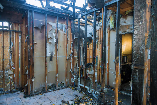 Professional Fire Damage Repair technician working in Arlington, OH